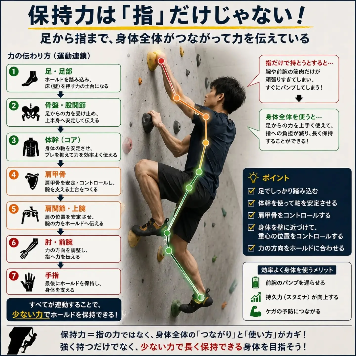 🧗‍♂️【保持力が弱い原因、本当に「指」ですか？】